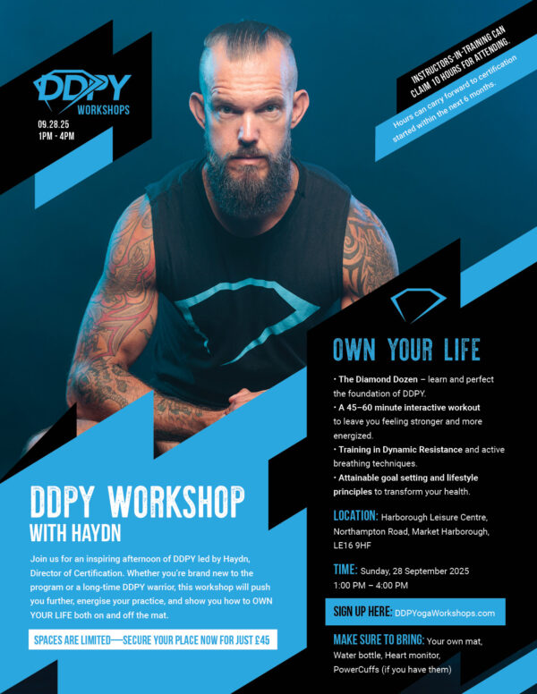 DDPY UK Workshop with Haydn